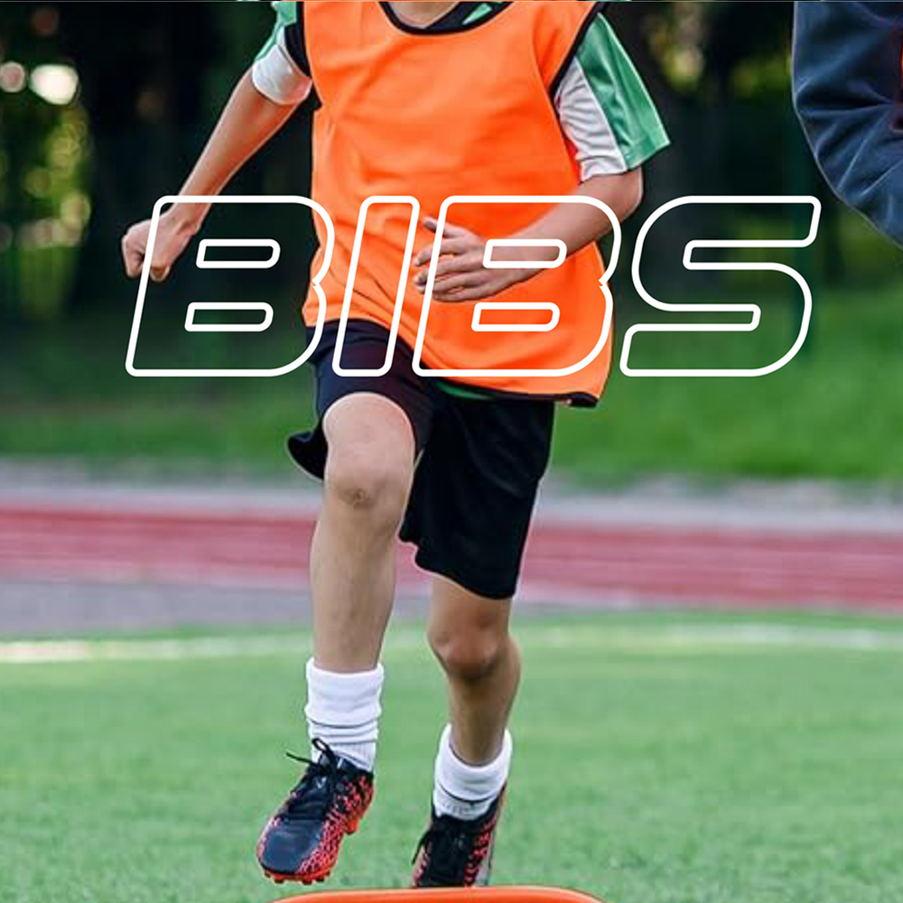 BIBS