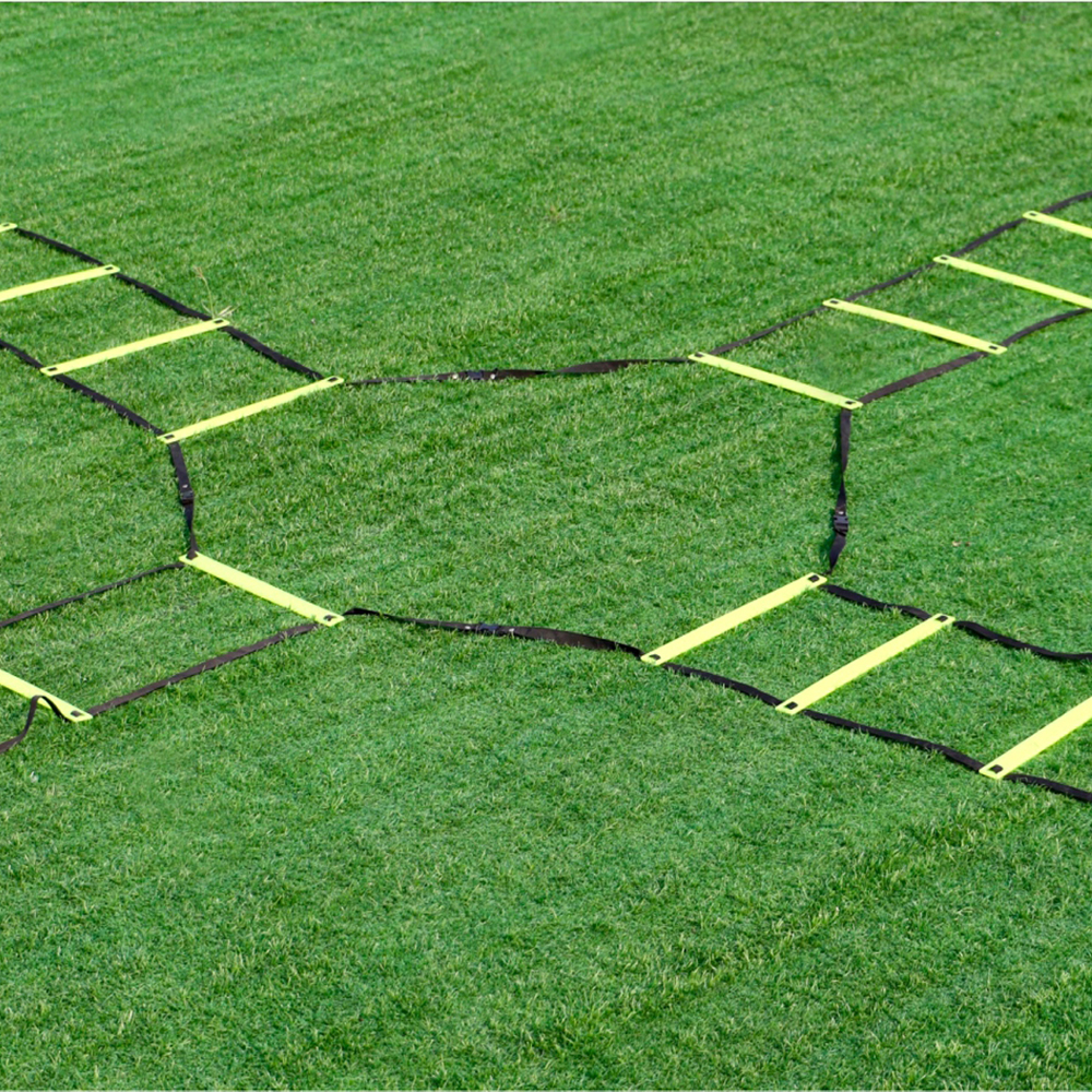 Agility Training Ladder